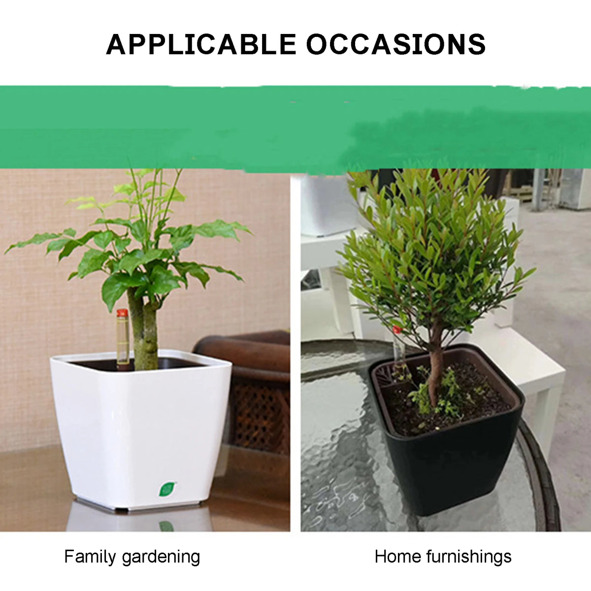pots plante auto arrosage hydroponique blanc violet noir gris moderne