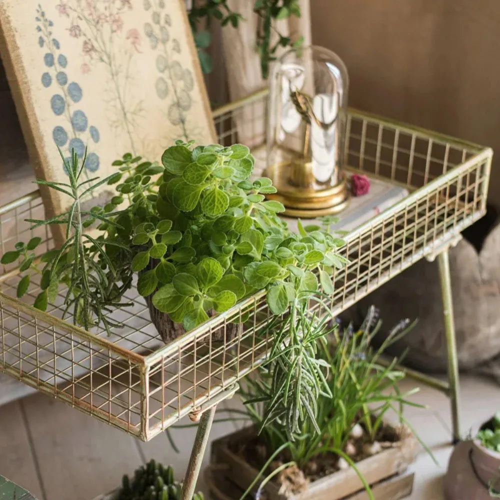 support plantes métal vintage étagère rectangulaire grille bohème rustique intérieur extérieur présentation fleurs herbes
