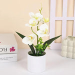 décoration intérieure orchidées artificielles pots blancs fleurs simples feuilles vertes moderne