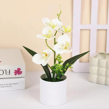 décoration intérieure orchidées artificielles pots blancs fleurs simples feuilles vertes moderne