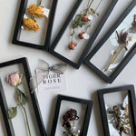 Cadre transparent fleurs séchées contemporain noir blanc doré rose rouge bleu orange vert beige