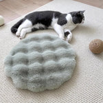 coussin doux pelucheux animaux compagnie moderne beige vertclair blanc