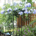 support plante grimpante métal noir structure circulaire annneau horizontal moderne jardin 150cm