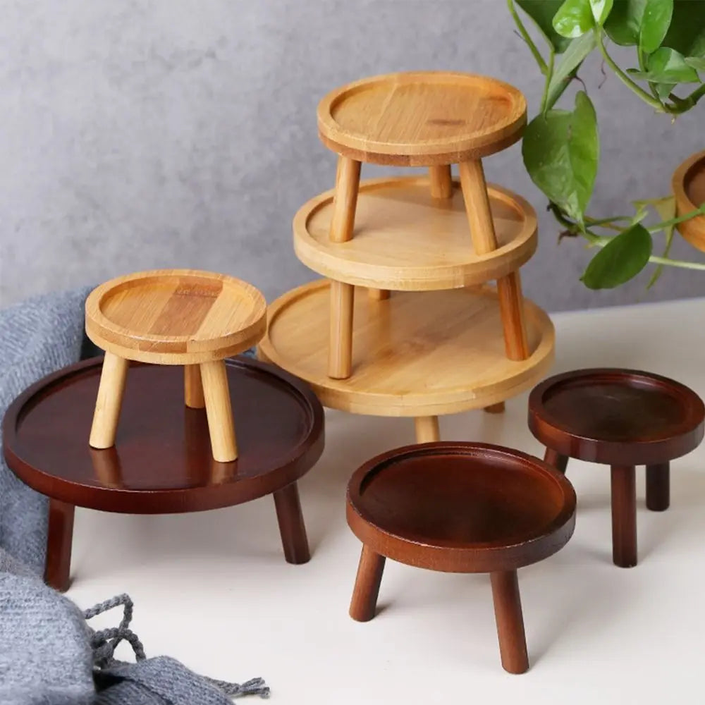 Support plante vert clair avec succulentes en bureau moderne