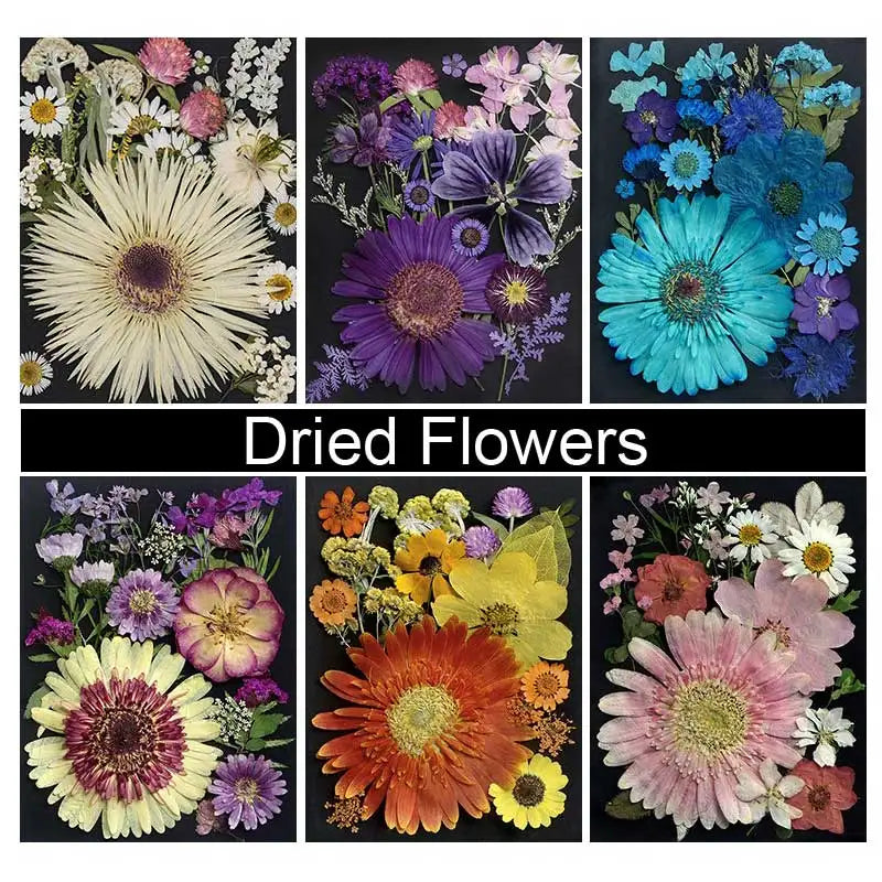 fleurs séchées naturelles variées artisanales blanc rose violet jaune orange bleu decoration maison anniversaire