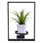 support mural moderne plante noir plaque fixation vis included