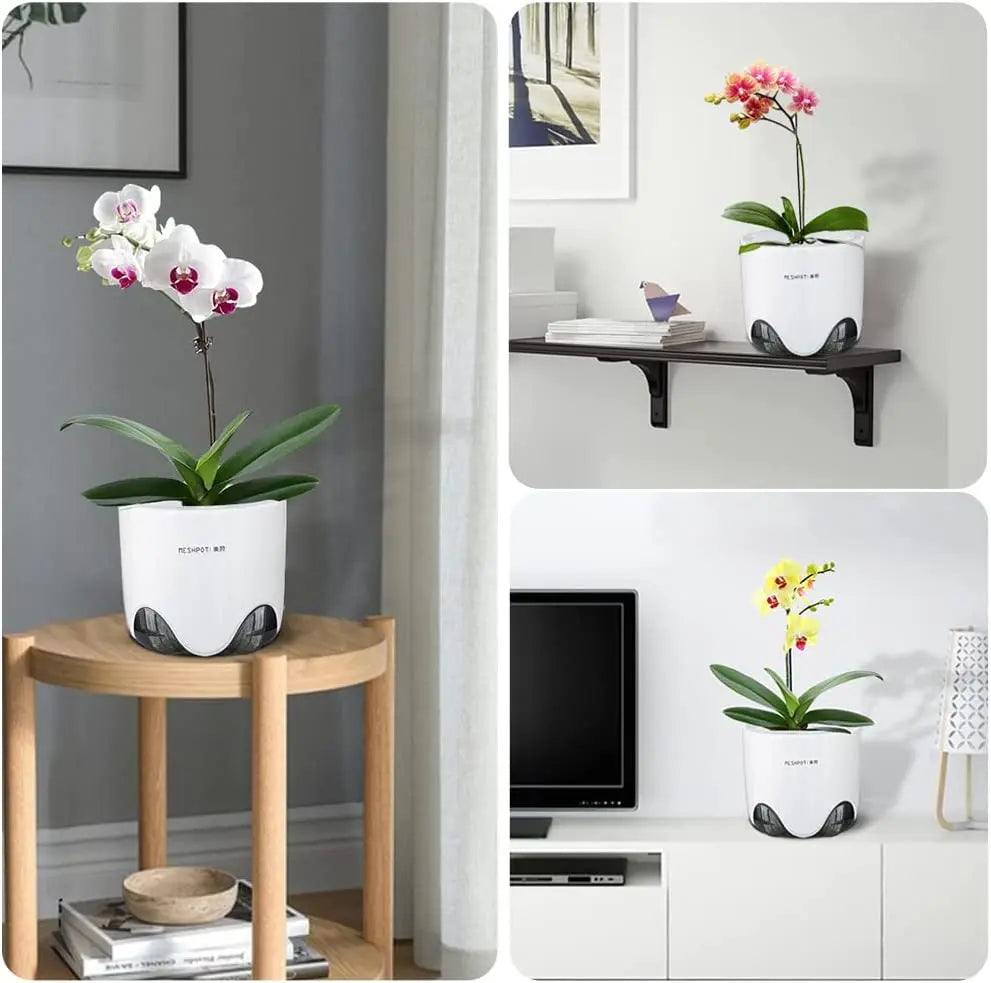 pots orchidées modernes blancs transparents 15cm 12cm 10cm aircone racines rebondissement