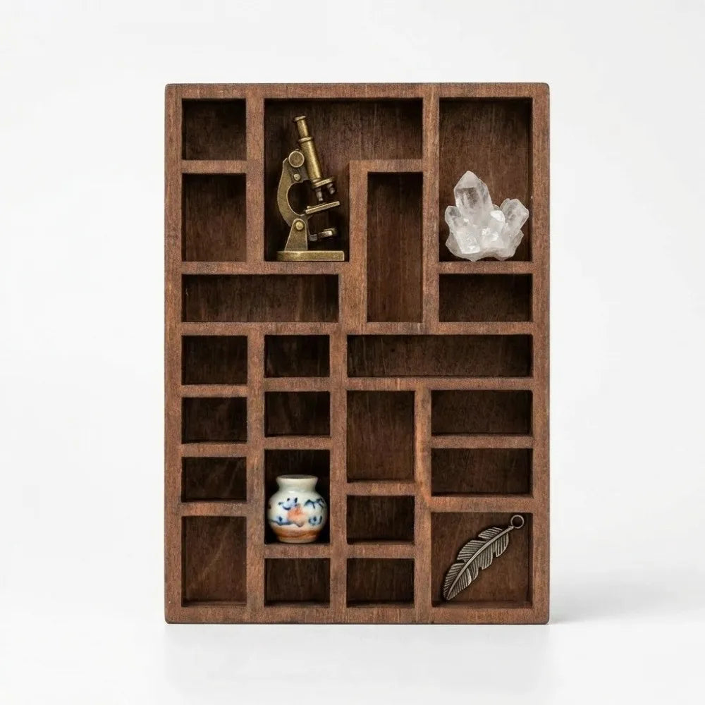boîte compartiments bois marron foncé classique microscope cristal pierres fossiles coquillages plumes