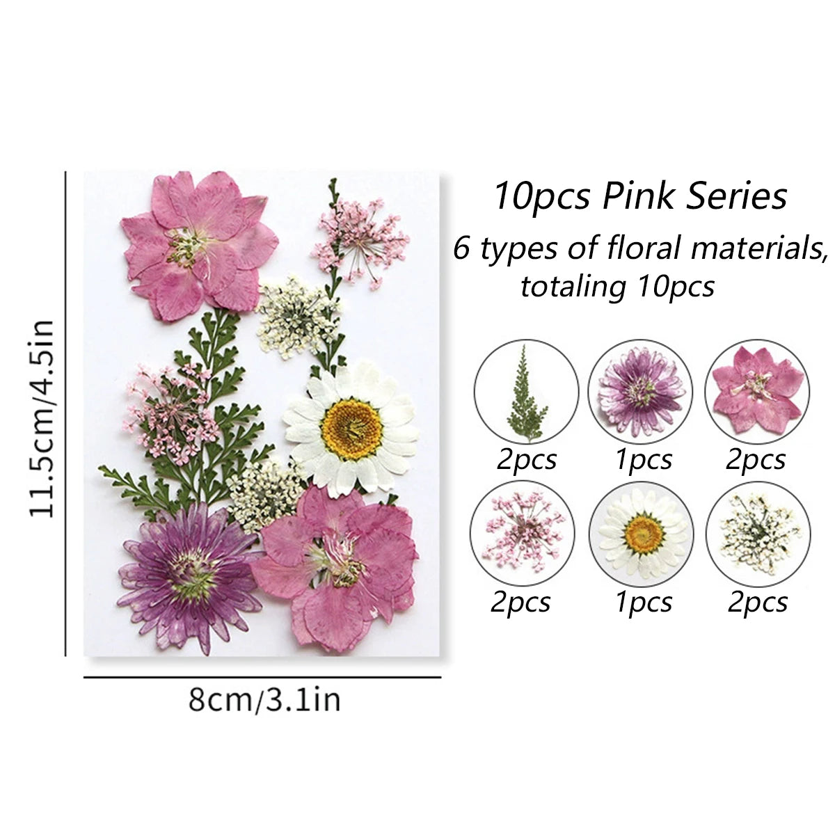 fleurs séchées plantes écologiques intérieur anniversaire baby shower exposition minimalistes cartes postales ornementales fixations