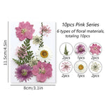 fleurs séchées plantes écologiques intérieur anniversaire baby shower exposition minimalistes cartes postales ornementales fixations