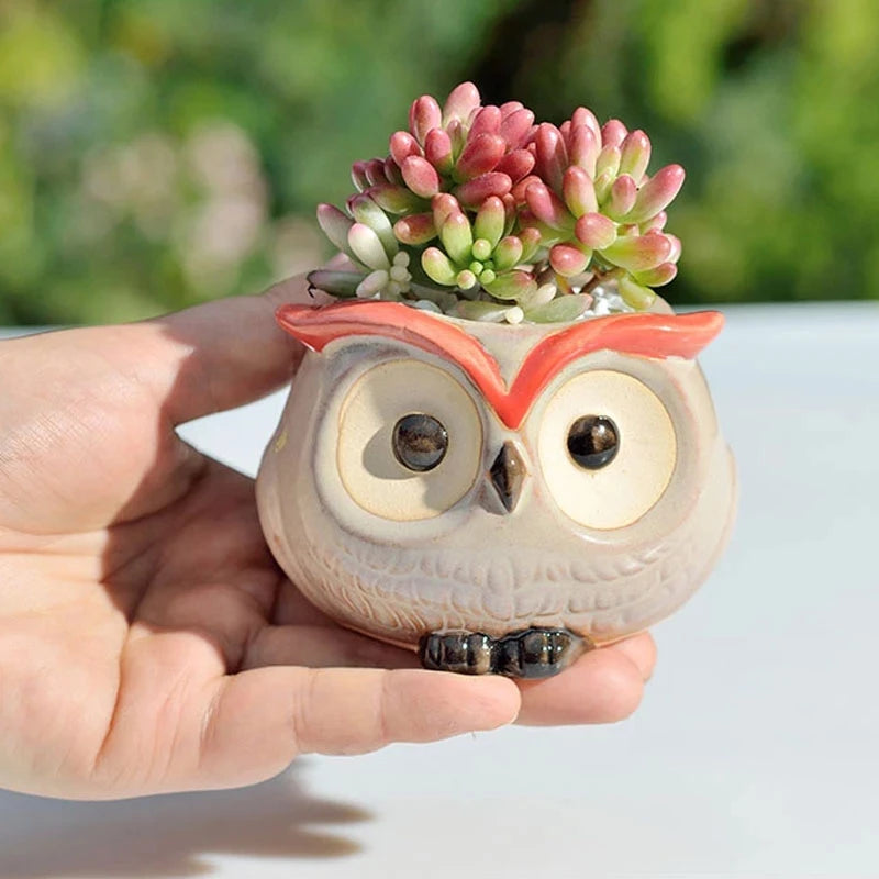 cache pot oiseau stylisé succulente céramique glacé rose clair beige noir