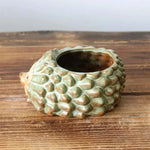 pots fleurs céramique hérisson épinules vert clair marron succulentes décoration jardin champêtre animalier
