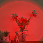 lampe ambiance télécommande couleurs changeantes ombres plantes séchées vases décorations murales chambre