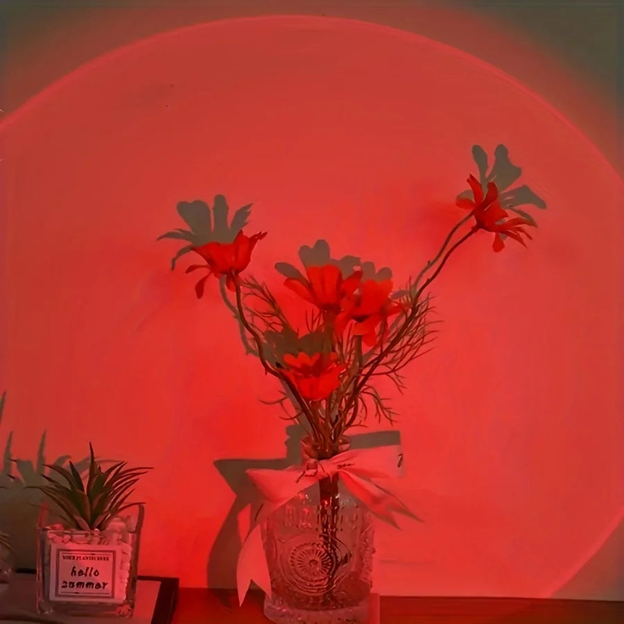 lampe ambiance télécommande couleurs changeantes ombres plantes séchées vases décorations murales chambre
