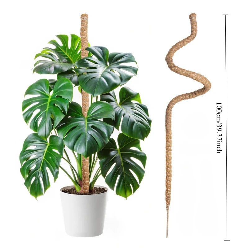 support plante grimpante fibre végétale marron clair naturelle rustique facile utiliser adhésif twine velcrointérieurextérieurbalconjardin