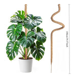 support plante grimpante fibre végétale marron clair naturelle rustique facile utiliser adhésif twine velcrointérieurextérieurbalconjardin