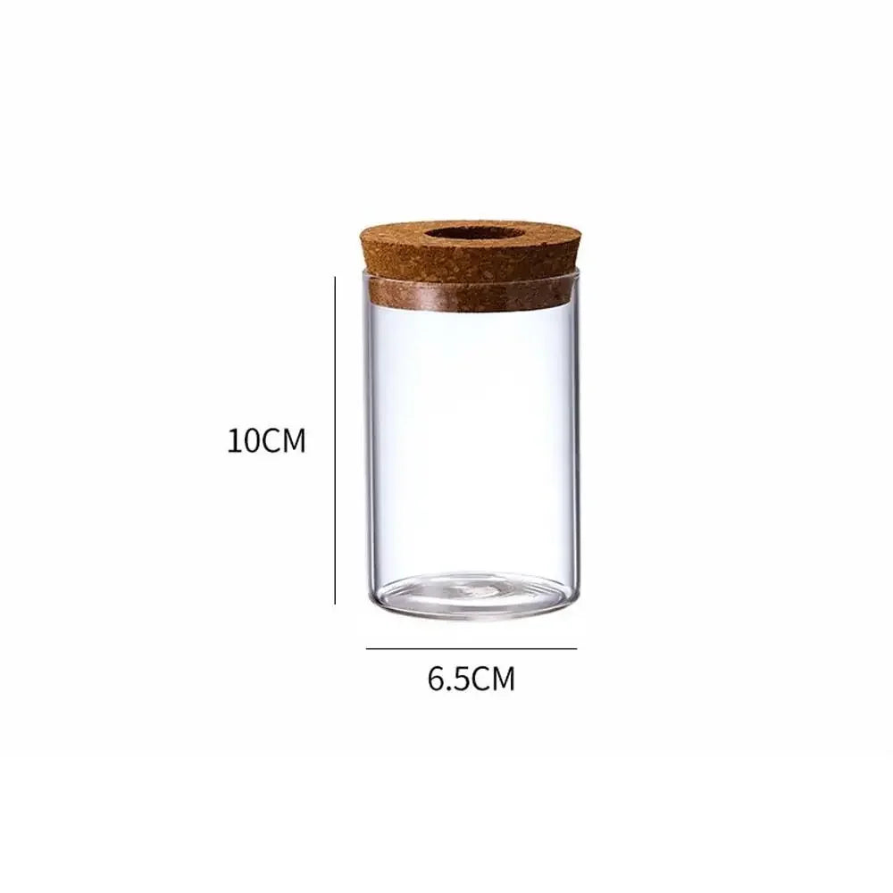 Pot plante hydroponique transparent moderne minimaliste 8cm 10cm 12cm 15cm 20cm