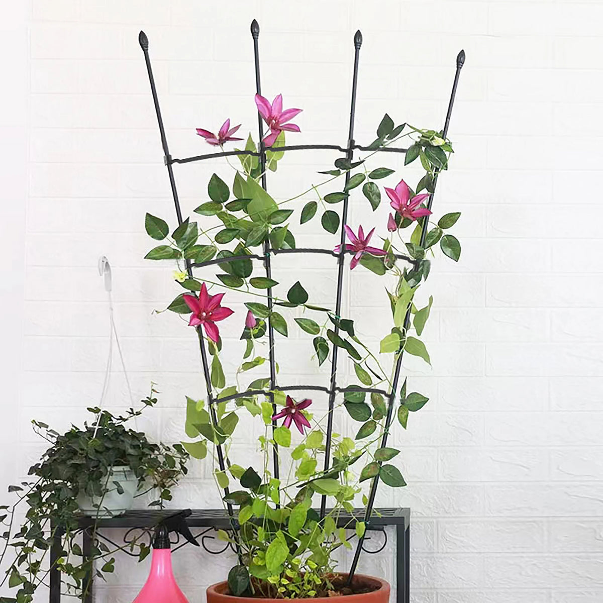 support plante grimpante grille métal anti rust noir blanc moderne facile jardin fleurs tomates