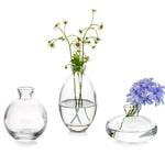 vases transparents modernes vases bleu clair verre minimaliste arrangement fleurs