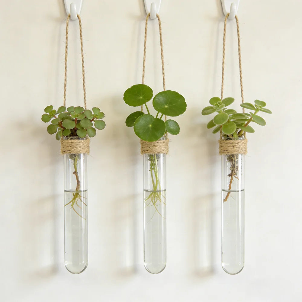vases suspension transparents tubes essai verre minimaliste plante fleur décoration intérieure contemporaine scientific mur