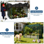 potager surélevé protection toile ombre plants légumes fruits rustique fonctionnel