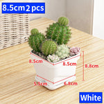 petit pot fleurs blanc plastique moderne cactus succulentes plateau intégré