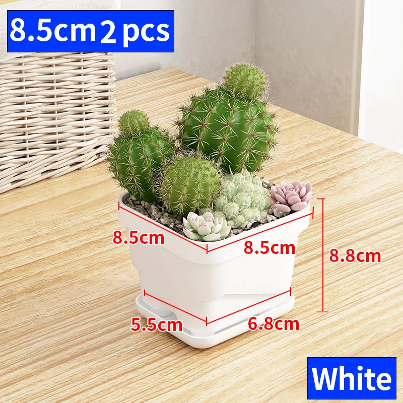 petit pot fleurs blanc plastique moderne cactus succulentes plateau intégré