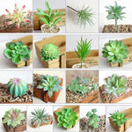 plantes succulentes artificielles cactus agave mini décorations vert blanc moderne minimalisteextérieur exposition