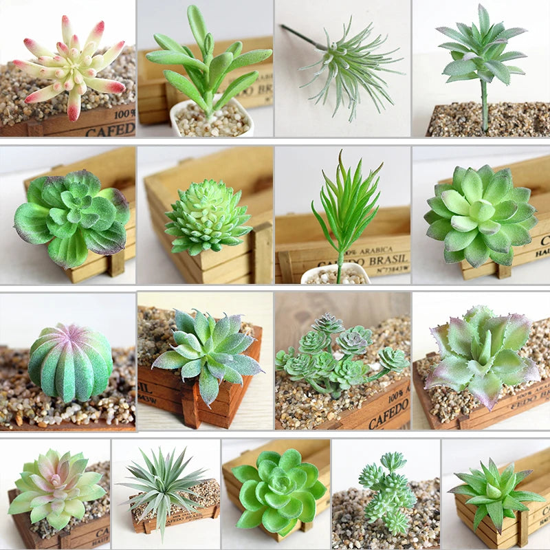 plantes succulentes artificielles cactus agave mini décorations vert blanc moderne minimalisteextérieur exposition