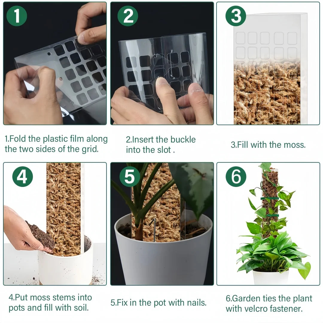 poteau mousse transparent moderne grille support plantes intérieures croissance tutoriel mousse