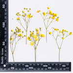 bouquet fleurs séchées naturelles variées bleu vert violet rouge jaunes ornement intérieur décoration artisanale