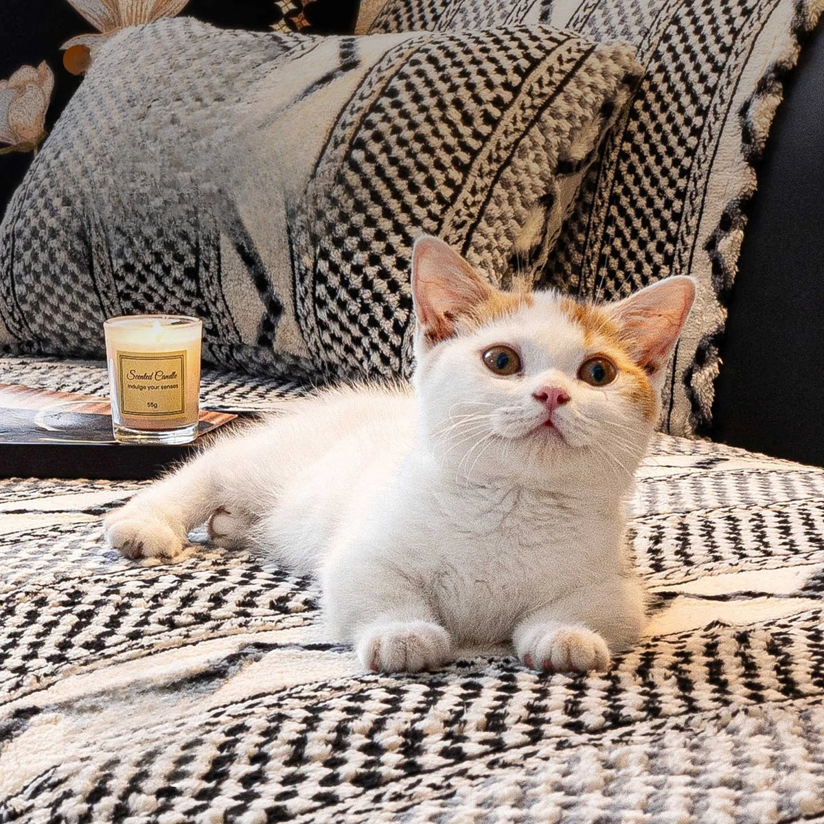 Un chat blanc et roux aux yeux attentifs, posé sur un canapé recouvert d'un motif à damiers noir et blanc, avec une bougie parfumée à proximité.