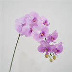 Orchidées artificielles bleu clair blanc rose jaune vert clair violet foncé mariage décoration intérieure