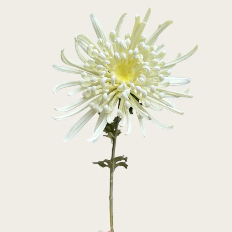 fleurs artificielles chrysanthèmes blanc rouge jaune orange décoration intérieure mariage anniversaire photo événements