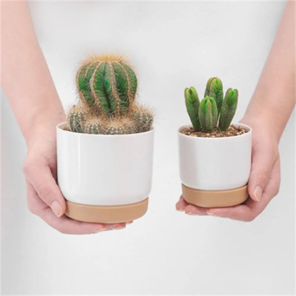 pots plantes blanches modernes grille drainage adhésif support minimaliste