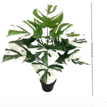 plantes artificielles feuilles monstera grandes nervures blancs moderne decoration intérieure