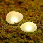 lampe solaire moderne adhésive semi transparente blanc beige lumière décorative extérieure économique
