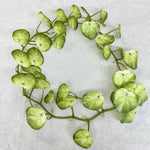 guirlande artificielle feuilles ovales vert clair vert foncé blanc naturel extérieur accrochée deux pièces