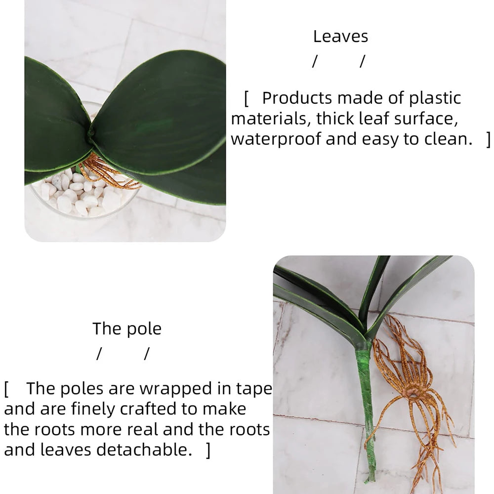 plantes artificielles feuilles larges décoration extérieure pots verre cadres photo moderne aménagement paysagerextérieur