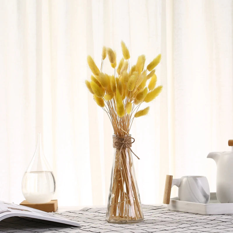 décoration maison plante séchée pampa moelleuse naturelle vase dried flowers beige rustiqueintérieur
