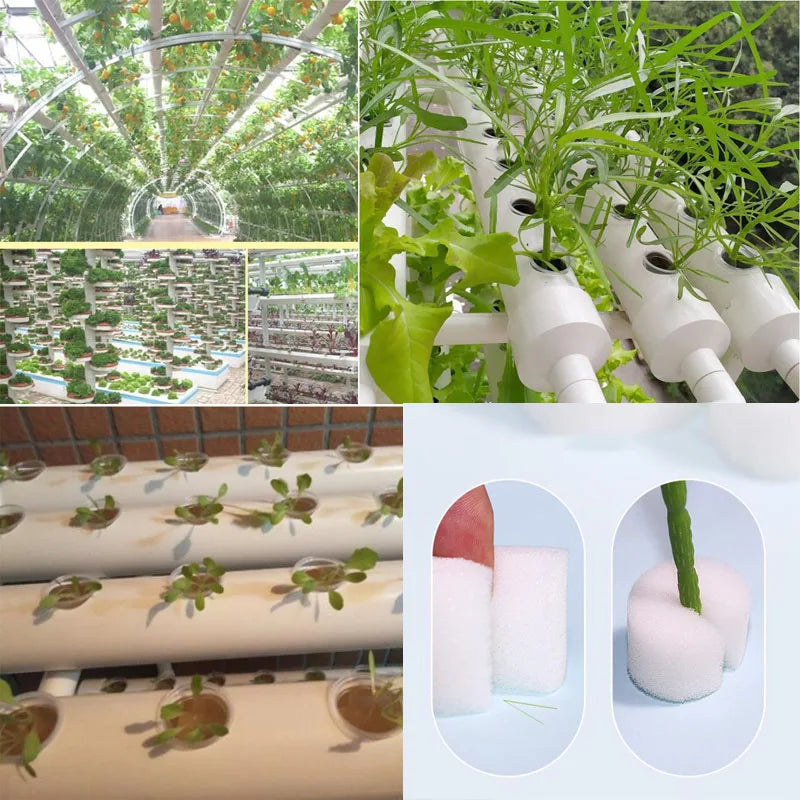 pot plante hydroponique maille plastique blanc noir culture sans sol pépinière