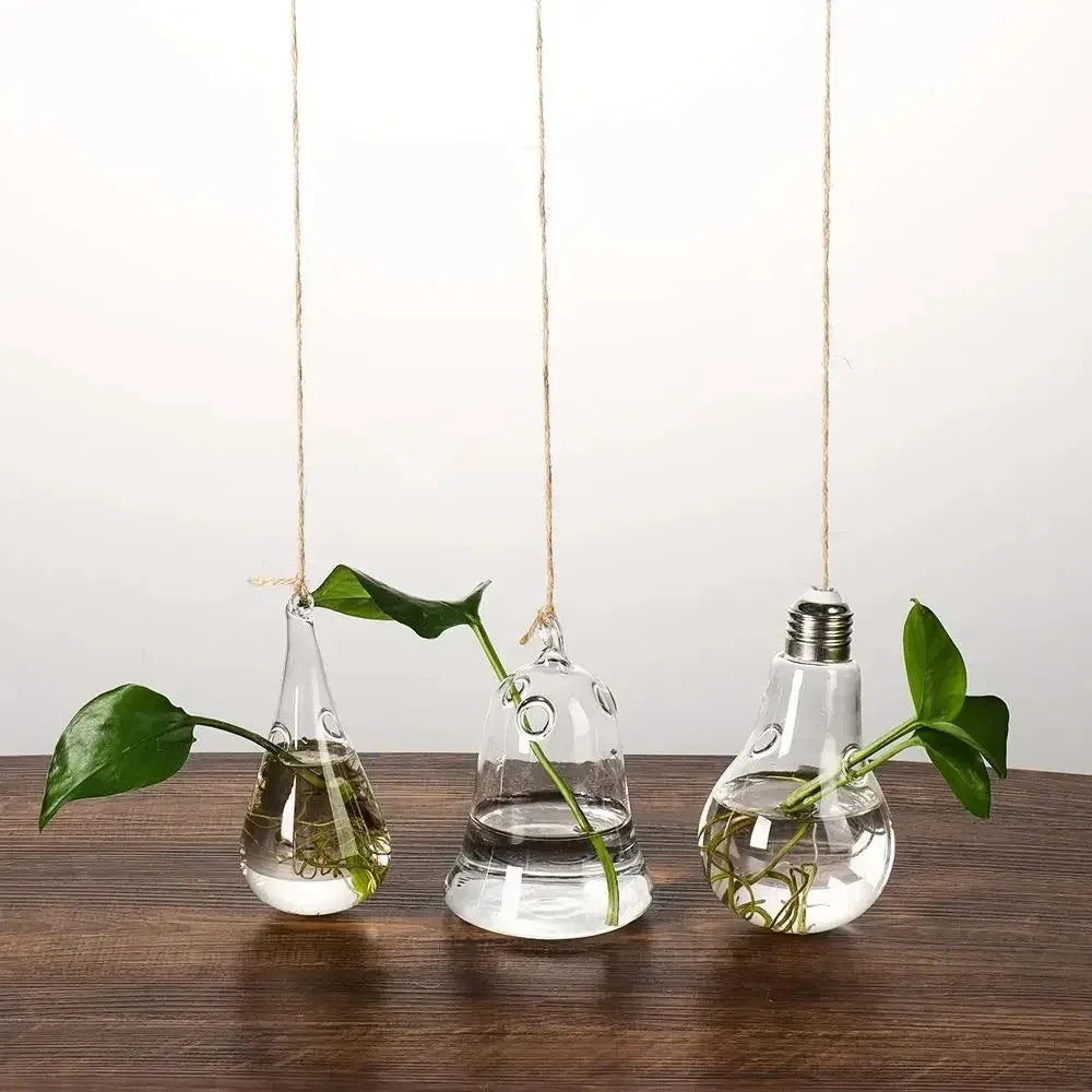 ampoules verre transparentes modernes opalescentes cordelette boutons fixation pot plantes minimaliste