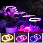 anneaux lumineux led croissance plantes intérieures blanc rose bleu rouge moderne minuterie usb rechargeable