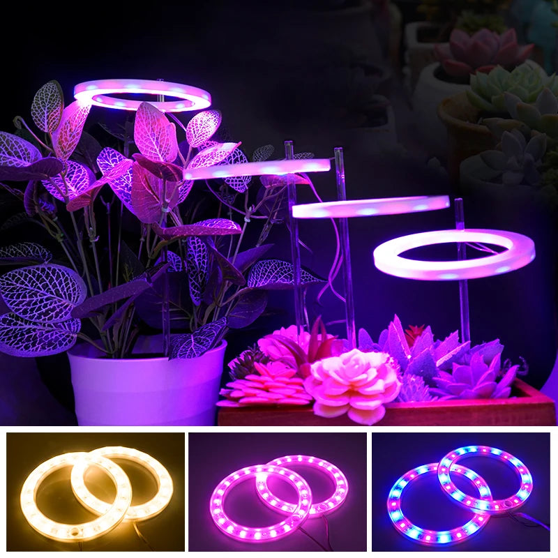 anneaux lumineux led croissance plantes intérieures blanc rose bleu rouge moderne minuterie usb rechargeable