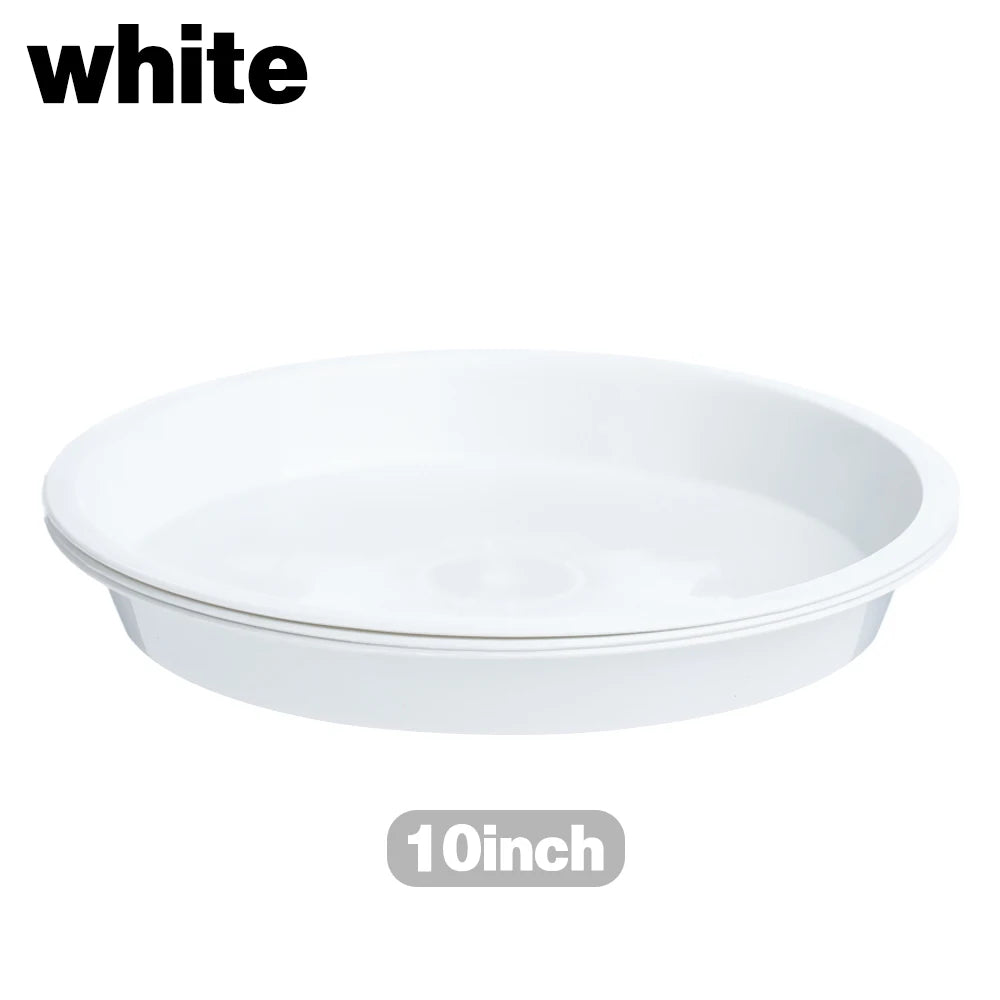 assiettes plantes noires rouges blanches modernes 10 cm