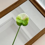 décoration intérieure moderne plante artificielle feuilles ovales rouge vert blanc rose
