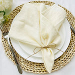 lot 50 serviettes cuisine coton bleu clair clips dorés table