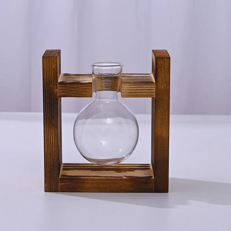 support plante bois vases verre transparent modernes plantes vertes decoration hydroponique minimaliste