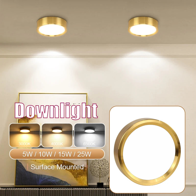 spots led or surface mounted salle bain 10w 15w 25w finis givrés