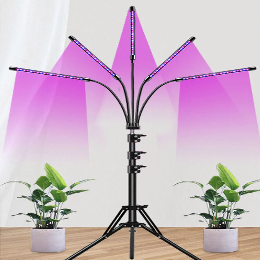 lampe led croissance plante intérieure usb réglable bouton variateur clips moderne noire aluminium